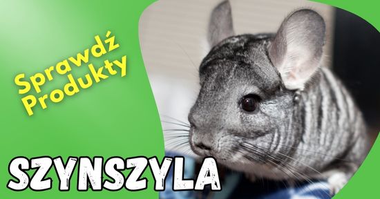 gryzonie damiana sklep dla gryzoni