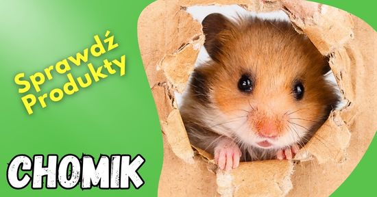 gryzonie damiana sklep dla gryzoni