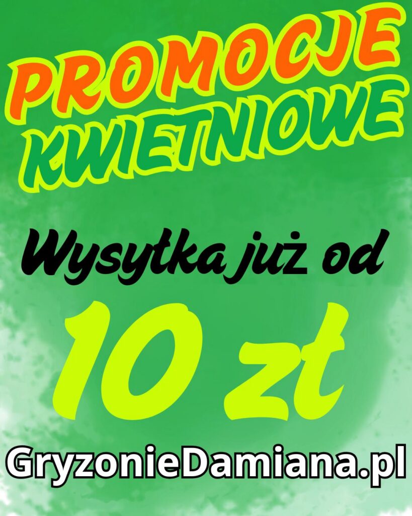 gryzonieDamiana kwietniowe promocje karma dla świnek morskich, ściółka