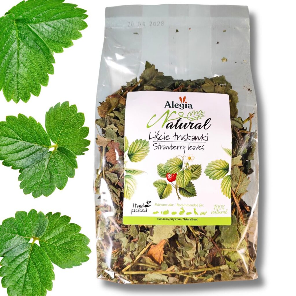Alegia natural liście truskawki